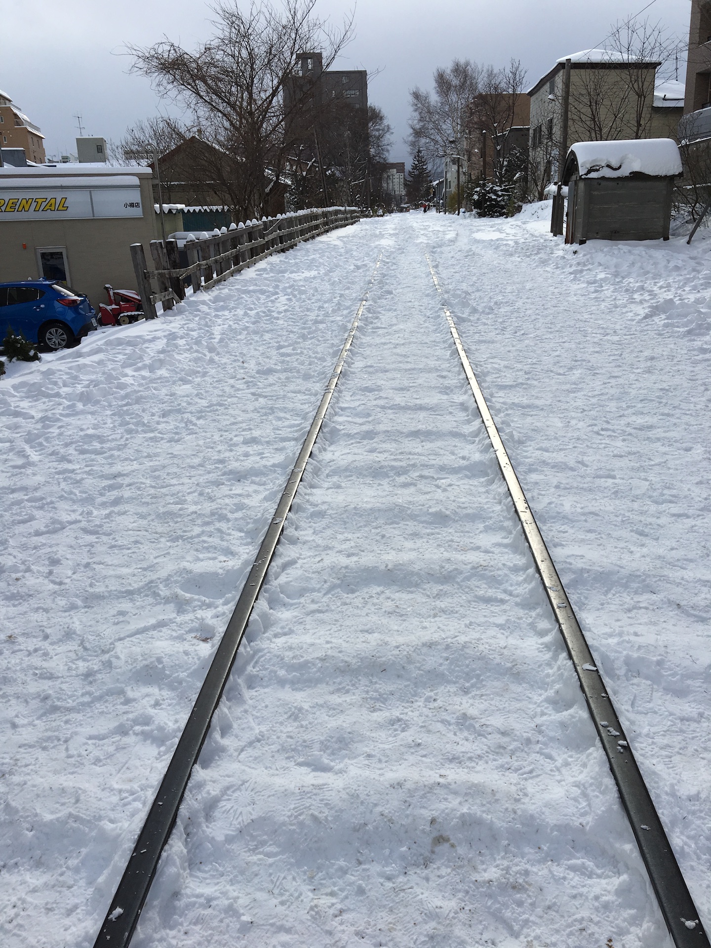 小樽もとうとう雪の季節がやってきました！