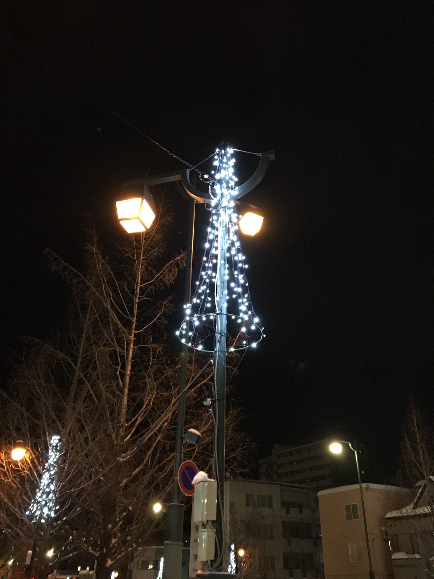 小樽の街中イルミネーション♪