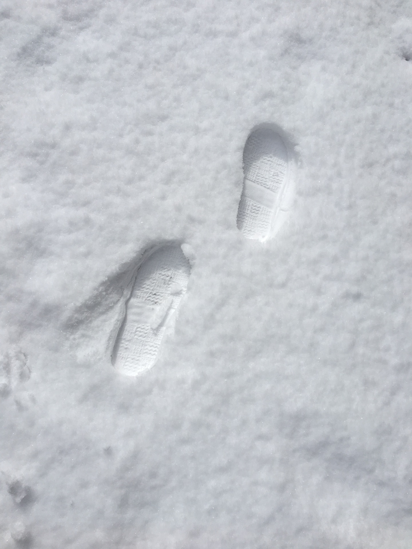 なごり雪！